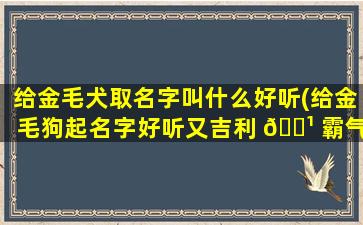 给金毛犬取名字叫什么好听(给金毛狗起名字好听又吉利 🌹 霸气)